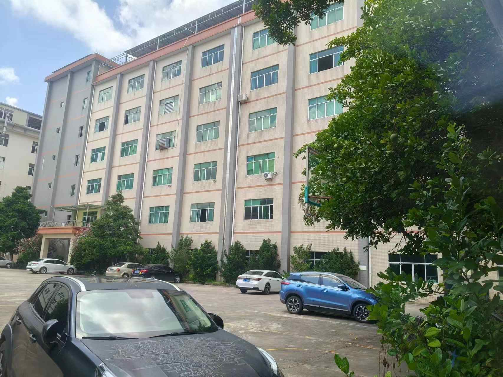 Broad View of the Building 